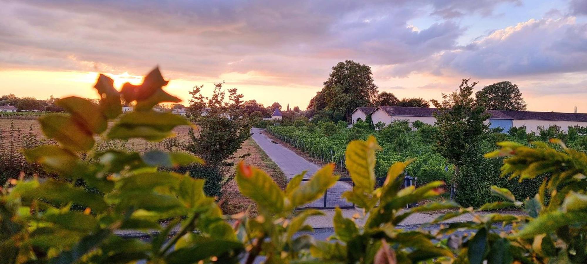 Appartement Quinault Libourne Exterior photo